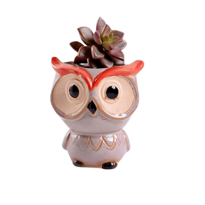 Owl Style 6 Succulent Planter Pot