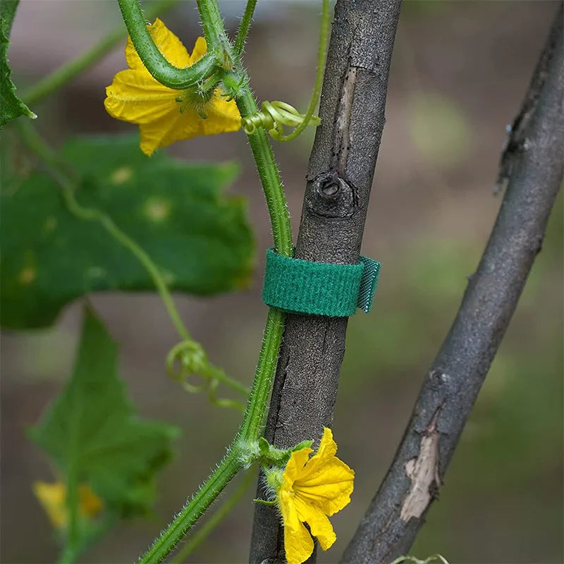 Plant ties Nylon plant ties Garden tape Adjustable plant support shape tape Velcro data cable ties