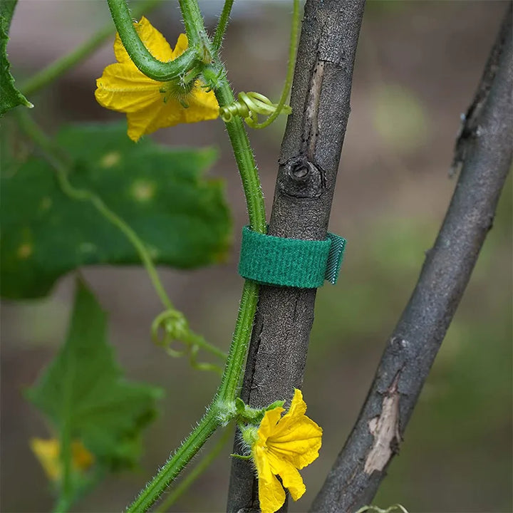 Plant ties Nylon plant ties Garden tape Adjustable plant support shape tape Velcro data cable ties