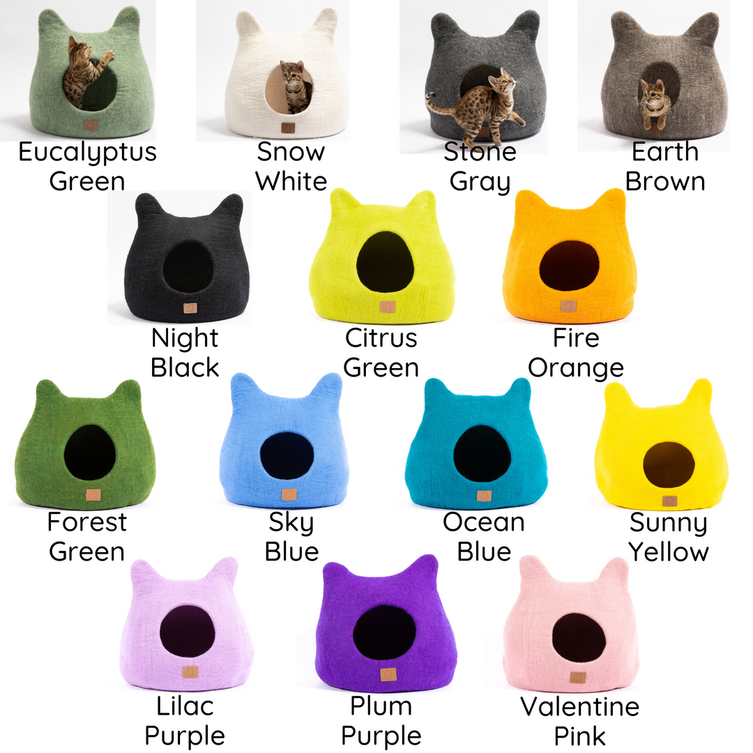 Sky Blue | Ear Style Cave