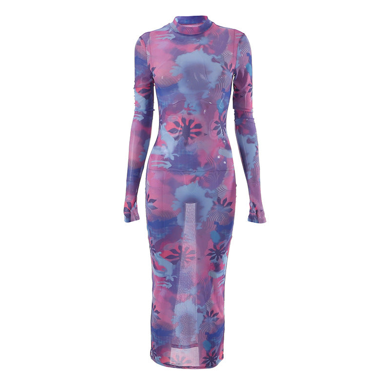 Long Sleeve Sheer Mesh Floral Print Casual Maxi Dress