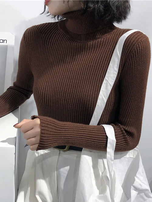 Turtleneck Sweater Womens 2024 Autumn Winter Tops Korean Slim Women