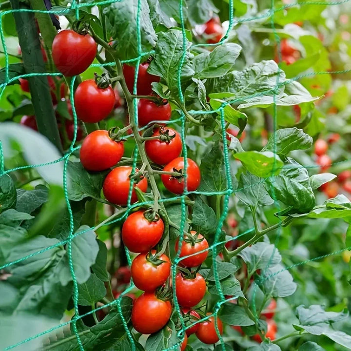 Plant Trellis Pergolas, Heavy-Duty Polyester Grow Net, Garden Trellis Netting With Square Mesh For Climbing Plants, Vegetables,