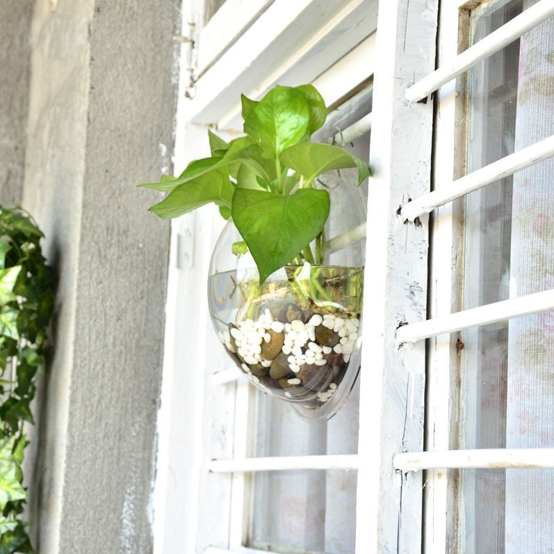 Wall Mounted Fish Bowl