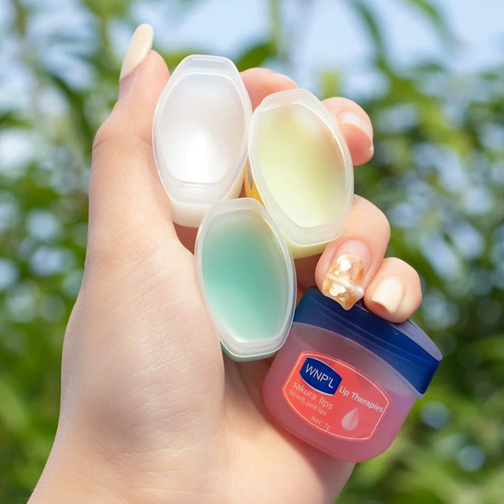 4pcs/box Natural Plant Lip Balm Moisturizing Plump Lips Lipsticks Makeup Base Anti-Cracking Lips Oil Lip Plumper Skin Care